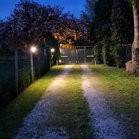 La Casina Apartament 费拉拉 外观 照片